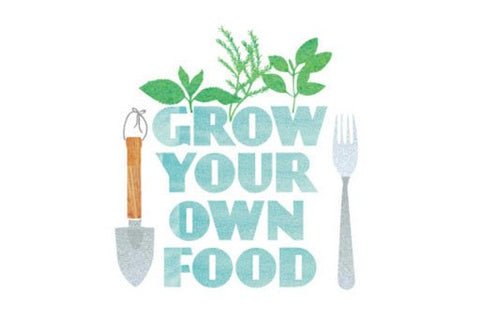 Jileon Wellies - Helping you to Grow your Own - Jileon Wellies