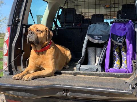 Accessories - Jileon Wellies