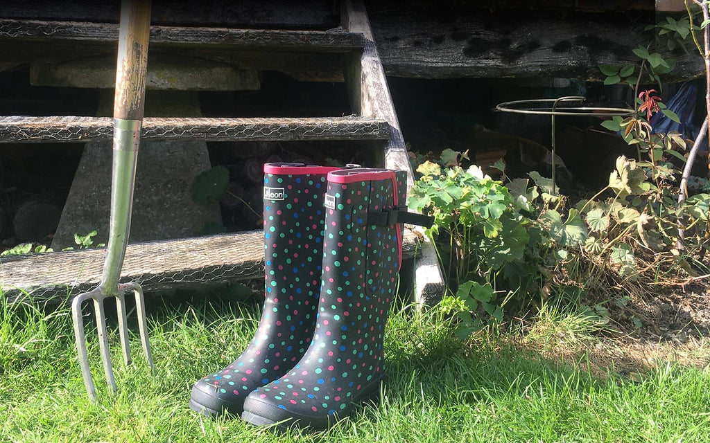 5 things to do in the garden this weekend! - Jileon Wellies