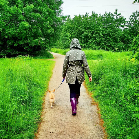 Dog Walking and Activities - Jileon Wellies