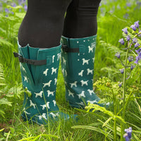 Extra Wide Calf Teal Dog Wellies - Fit 40-57cm calf - Wide in Foot and Ankle - Jileon Wellies