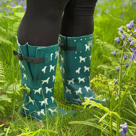 Extra Wide Calf Teal Dog Wellies - Fit 40-57cm calf - Wide in Foot and Ankle - Jileon Wellies